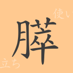 膵(スイ)の漢字の成り立ち(語源)と意味、使い方、読み方、画数、部首 膵(スイ)の漢字の成り立ち(語源)と意味、使い方、読み方、画数、部首