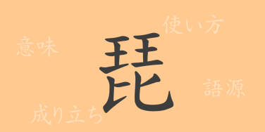 琵（ビ）の漢字の成り立ち(語源)と意味、使い方、読み方、画数、部首