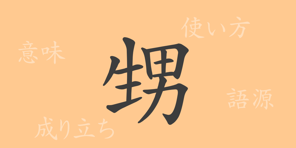 甥（セイ）の漢字の成り立ち(語源)と意味、使い方、読み方、画数、部首