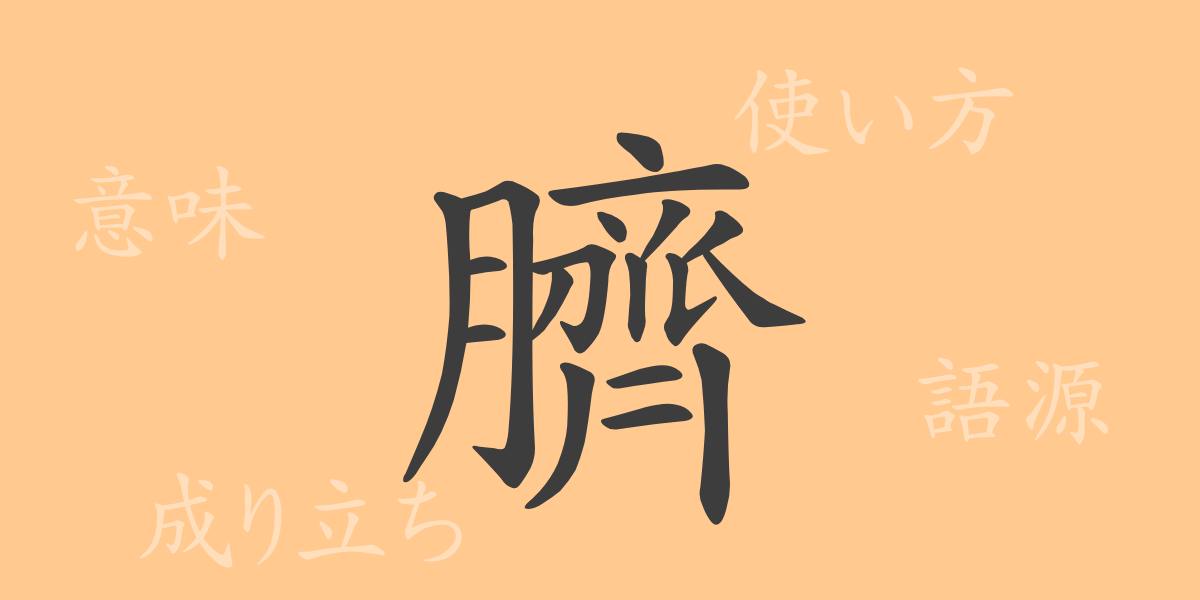 臍（セイ）の漢字の成り立ち(語源)と意味、使い方、読み方、画数、部首