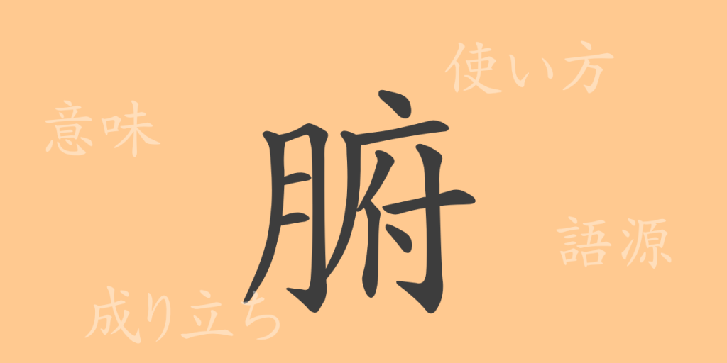腑（フ）の漢字の成り立ち(語源)と意味、使い方、読み方、画数、部首