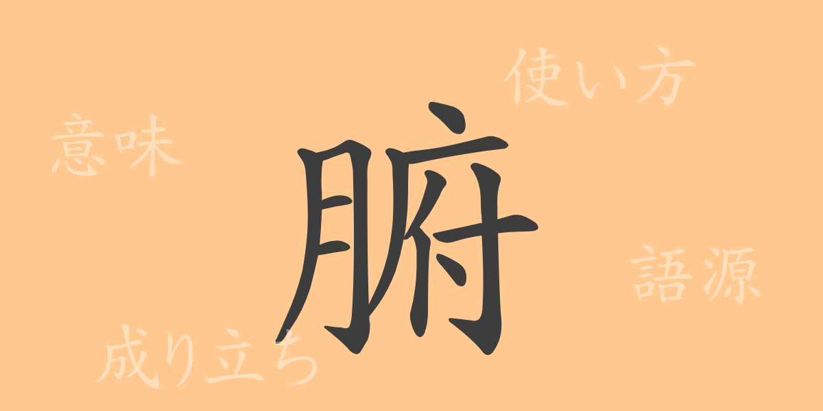 腑（フ）の漢字の成り立ち(語源)と意味、使い方、読み方、画数、部首