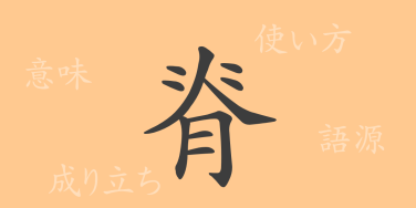 脊（セキ）の漢字の成り立ち(語源)と意味、使い方、読み方、画数、部首