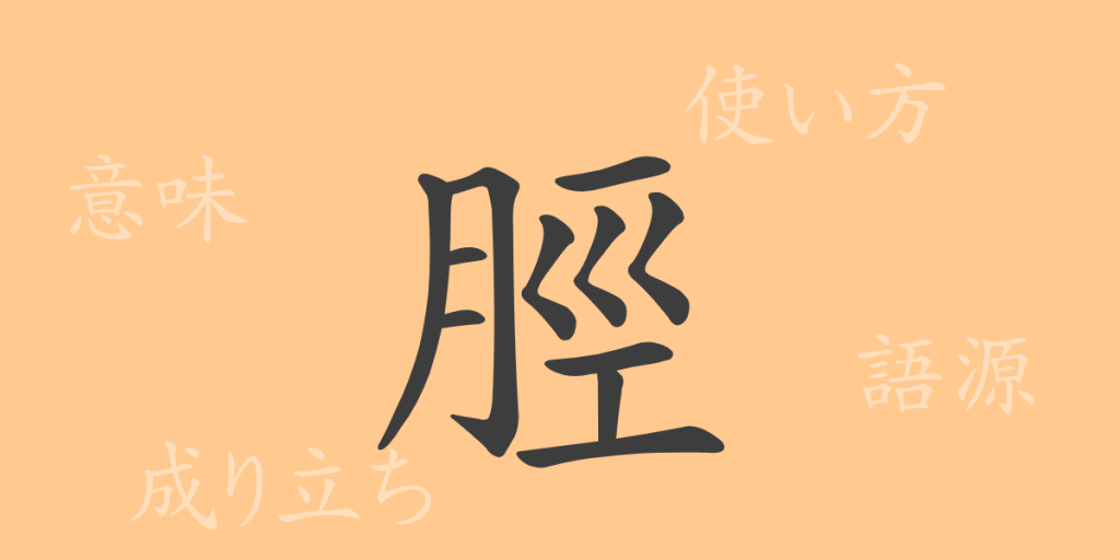 脛(ケイ)の漢字の成り立ち(語源)と意味、使い方、読み方、画数、部首 脛(ケイ)の漢字の成り立ち(語源)と意味、使い方、読み方、画数、部首