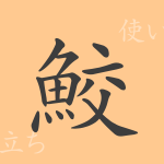 鮫(コウ)の漢字の成り立ち(語源)と意味、使い方、読み方、画数、部首 鮫(コウ)の漢字の成り立ち(語源)と意味、使い方、読み方、画数、部首