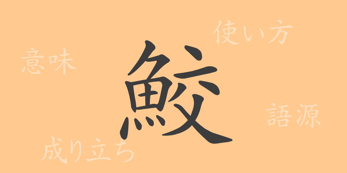 鮫（コウ）の漢字の成り立ち(語源)と意味、使い方、読み方、画数、部首