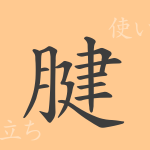 腱(ケン)の漢字の成り立ち(語源)と意味、使い方、読み方、画数、部首 腱(ケン)の漢字の成り立ち(語源)と意味、使い方、読み方、画数、部首