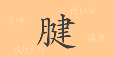 腱（ケン）の漢字の成り立ち(語源)と意味、使い方、読み方、画数、部首