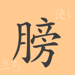 膀(ボウ)の漢字の成り立ち(語源)と意味、使い方、読み方、画数、部首 膀(ボウ)の漢字の成り立ち(語源)と意味、使い方、読み方、画数、部首