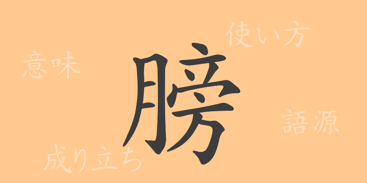 膀（ボウ）の漢字の成り立ち(語源)と意味、使い方、読み方、画数、部首
