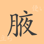 腋(エキ)の漢字の成り立ち(語源)と意味、使い方、読み方、画数、部首 腋(エキ)の漢字の成り立ち(語源)と意味、使い方、読み方、画数、部首
