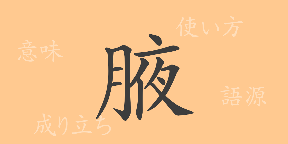 腋（エキ）の漢字の成り立ち(語源)と意味、使い方、読み方、画数、部首