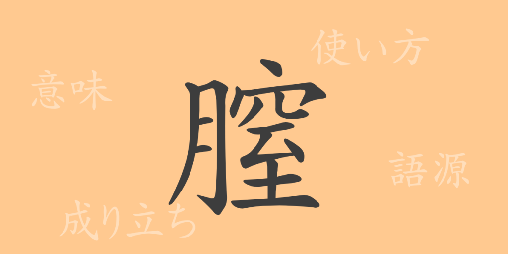 膣（チツ）の漢字の成り立ち(語源)と意味、使い方、読み方、画数、部首