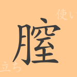 膣(チツ)の漢字の成り立ち(語源)と意味、使い方、読み方、画数、部首 膣(チツ)の漢字の成り立ち(語源)と意味、使い方、読み方、画数、部首