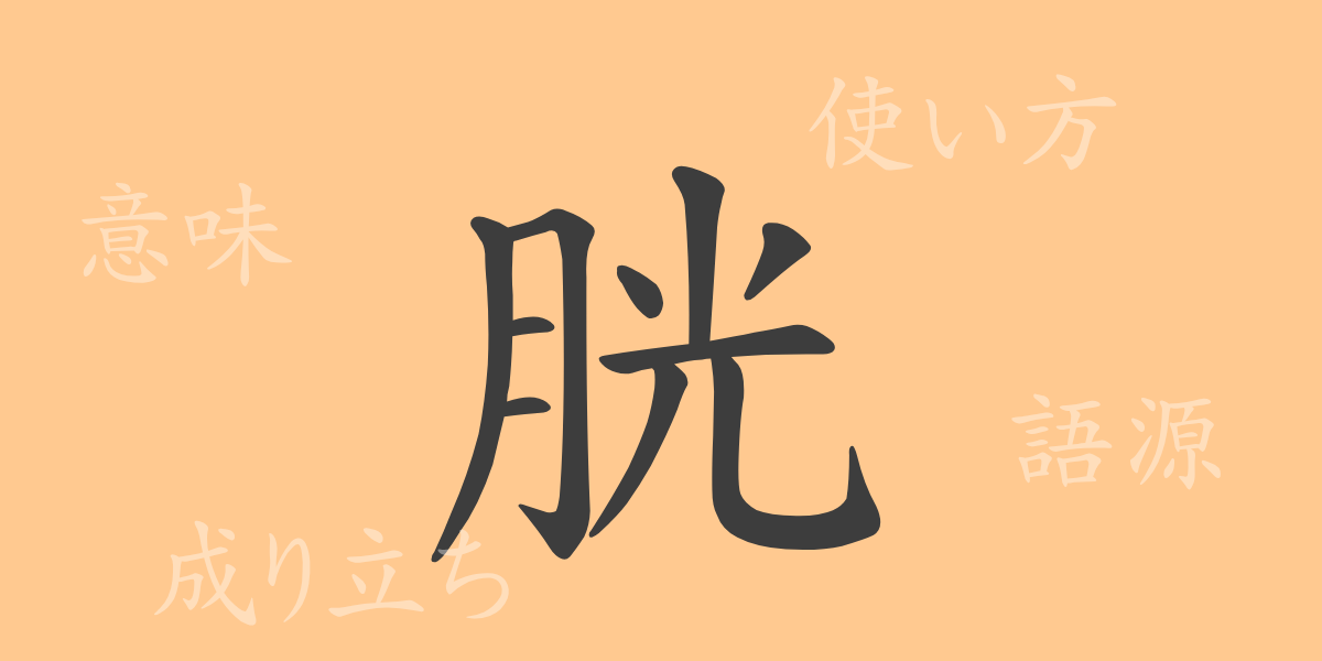 胱（コウ）の漢字の成り立ち(語源)と意味、使い方、読み方、画数、部首